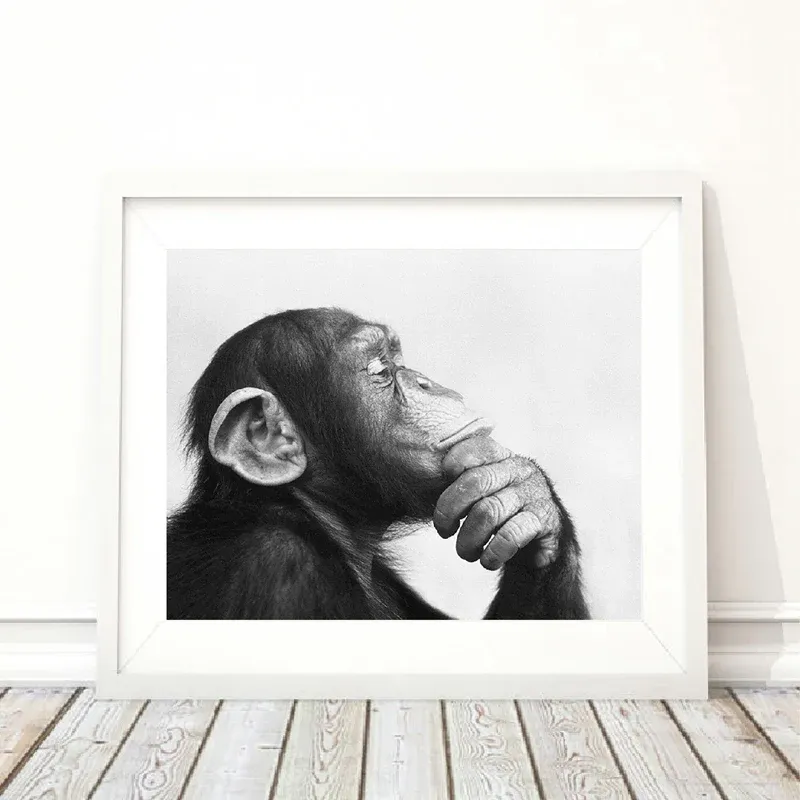 tableau singe penseur – Image 4