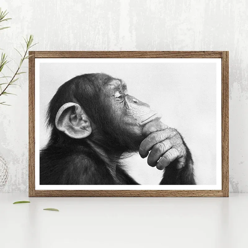 tableau singe penseur – Image 3