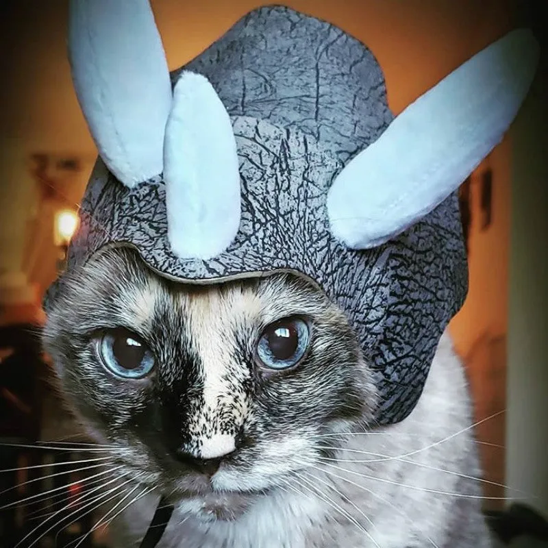 Bob pour chat couvre-chef dinosaure tricératops – Image 3