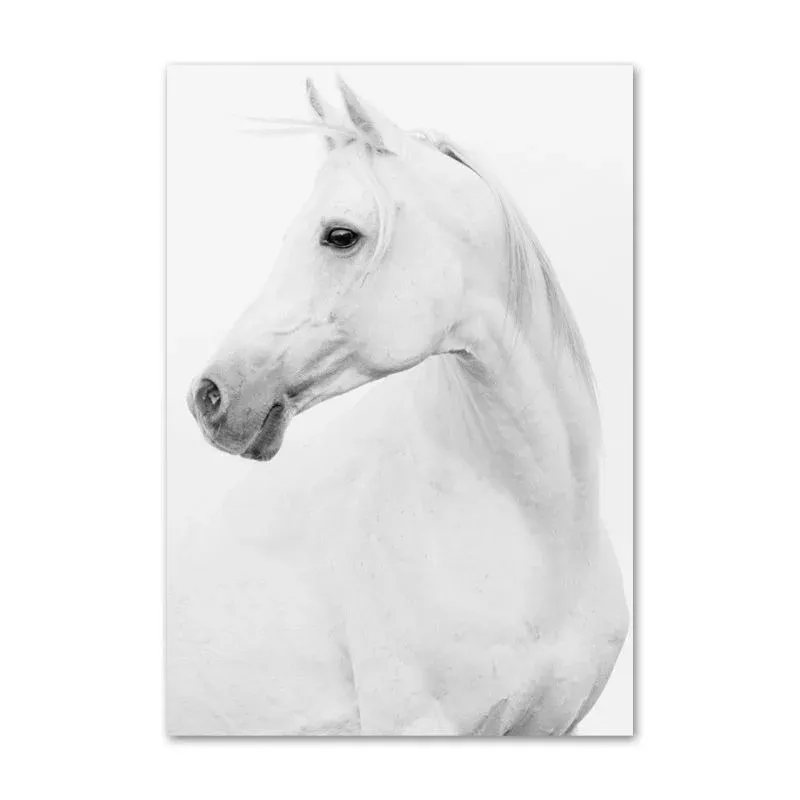Tableau cheval blanc – Image 2