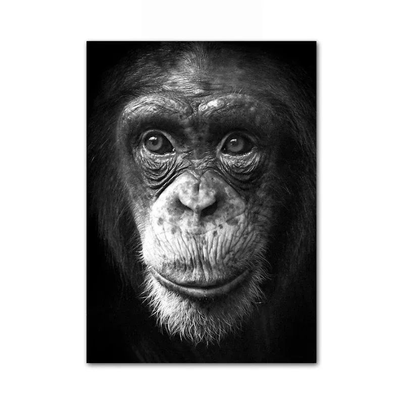 Tableau singe noir et blanc – Image 2